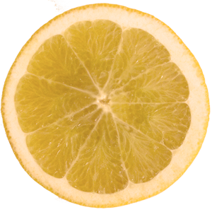 Judith Peters Physiotherapie Faszien Orange